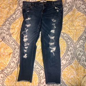 Torrid distressed jeans